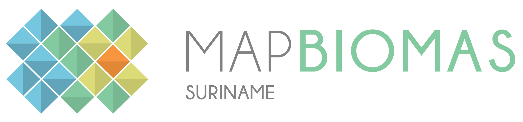 Mapbiomas Suriname